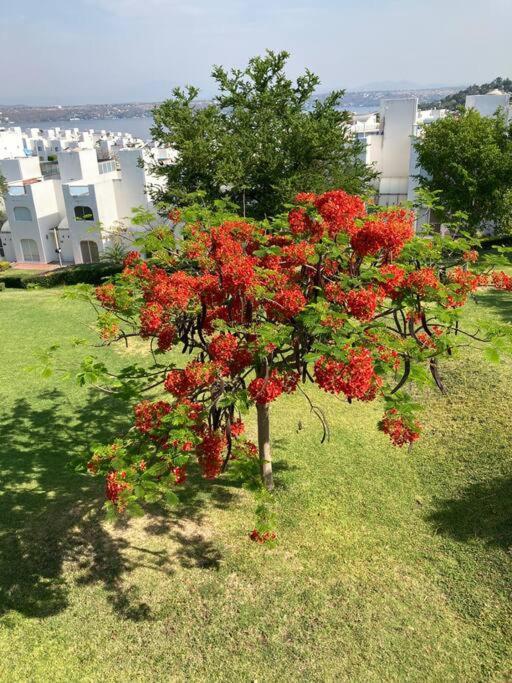 Appartamento Casa Gayatri Teques Tequesquitengo Esterno foto